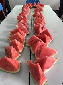 青鸟集吃瓜,揭秘网红美食背后的吃瓜故事  第2张